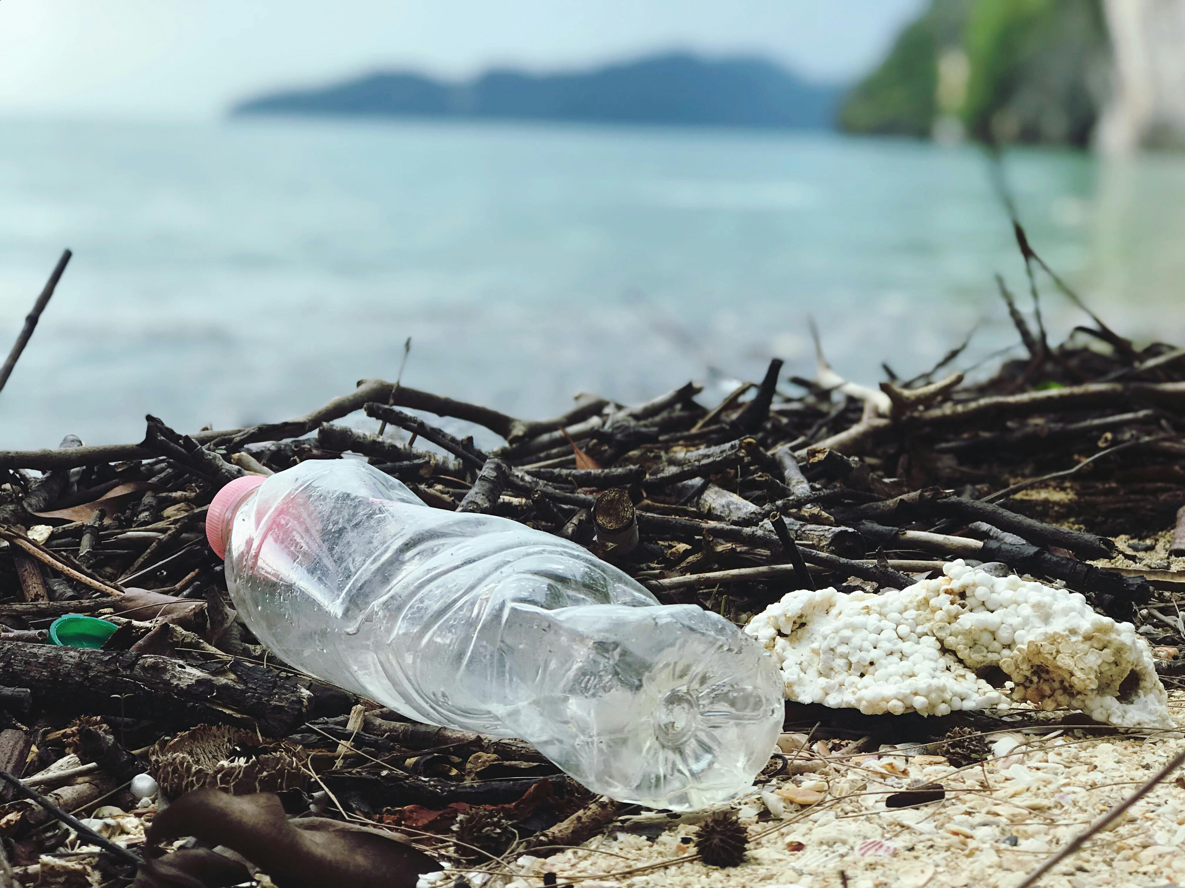 Eliminate Plastic from Your Life in Just 30 Days: The Plastic-Free Challenge