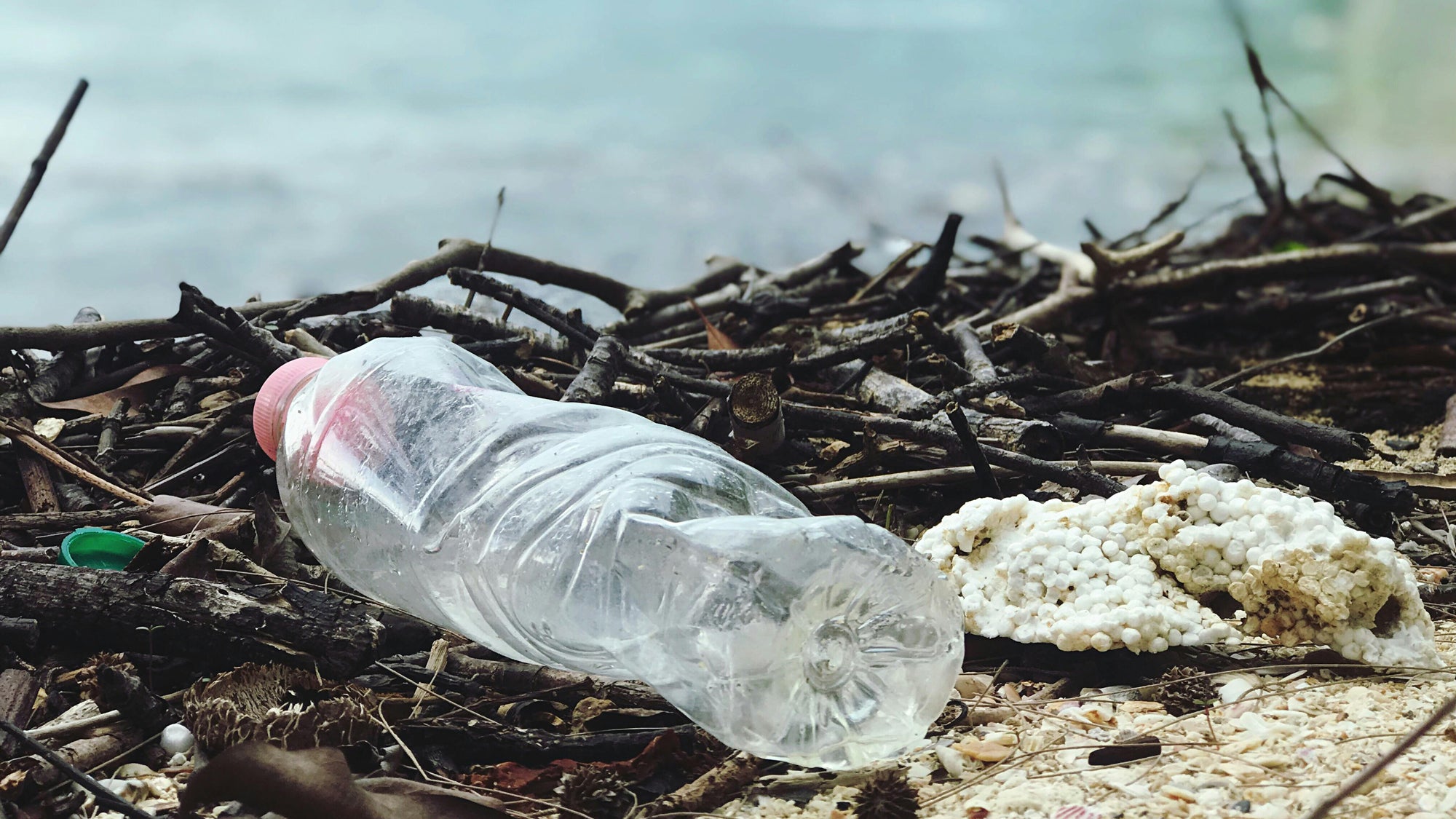 Eliminate Plastic from Your Life in Just 30 Days: The Plastic-Free Challenge